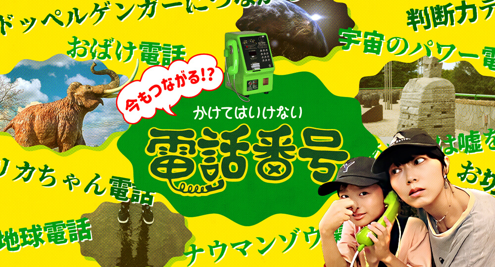 小学生と一緒に「かけてはいけない電話番号」を調査する記事を書きました。