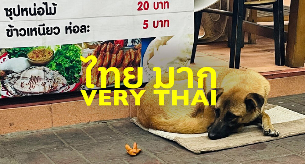 タイへの偏愛がプロジェクトに。「VERY THAI」企画・運営,コピー,買付・出店,ショートエッセイ展示をしました