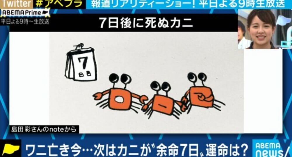 「7日後に死ぬカニ」がABEMA newsになりました